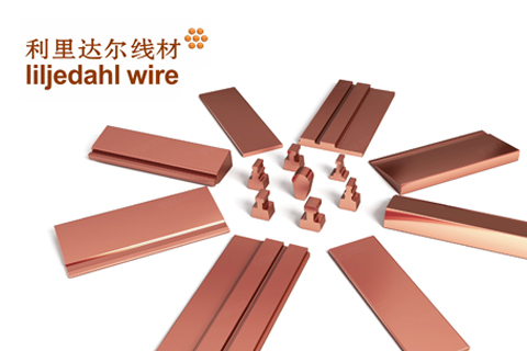 利里達(dá)爾宣傳三折頁(yè)設(shè)計(jì)