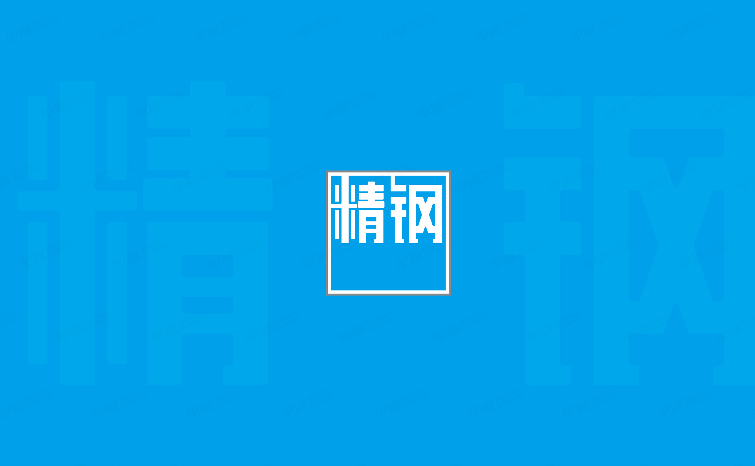 VI設(shè)計,LOGO設(shè)計,精鋼防腐瓦品牌VI設(shè)計和Logo設(shè)計,公司