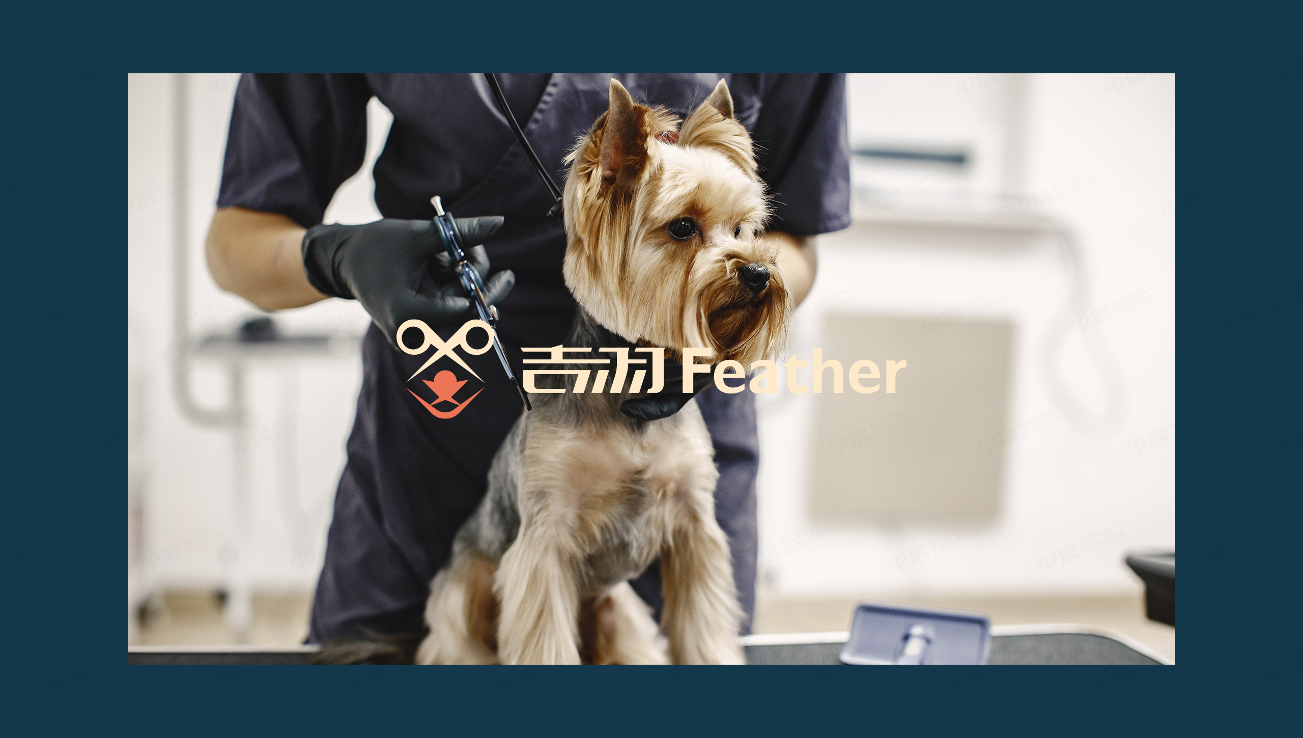 logo設計,吉羽,寵物剪刀logo設計,字體設計,品牌VI設計,蘇州,無錫,常州,南通,泰州,鎮(zhèn)江,南京,揚州,品牌VI形象設計,Logo設計公司