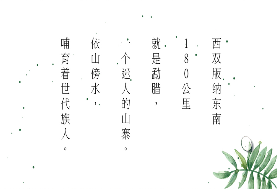 小蜜蜂蜜VI設(shè)計|張家港品牌策劃|品牌設(shè)計★張家港早晨設(shè)計★企業(yè)VI設(shè)計|企業(yè)策劃|形象設(shè)計|張家港Logo設(shè)計|標志設(shè)計|商標設(shè)計|字體設(shè)計|圖形設(shè)計